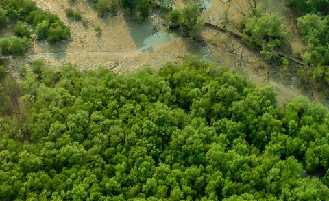 MTR Carbon Capture | MTR Carbon Capture Building World’s Largest